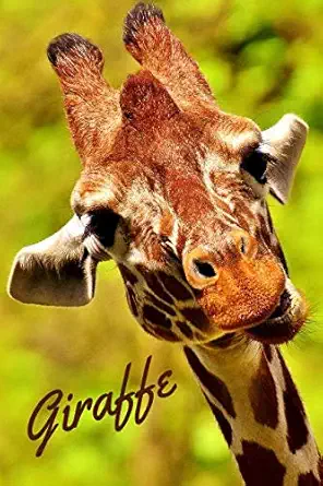 giraffe cute animal notebook for kids notebook for students notebook for coloring drawing and writing 1st