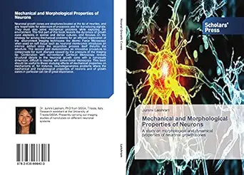 mechanical and morphological properties of neurons a study on morphological and dynamical properties of