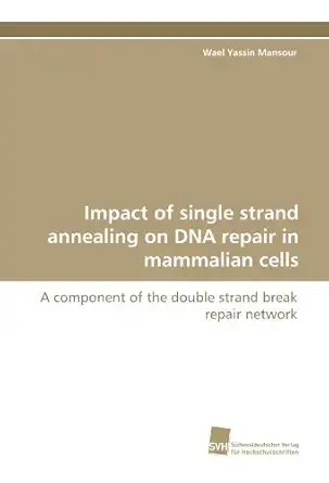 impact of single strand annealing on dna repair in mammalian cells a component of the double strand break