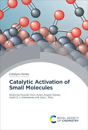 catalytic activation of small molecules 1st edition mustafa yasin aslan ,angela daisley ,justin s j