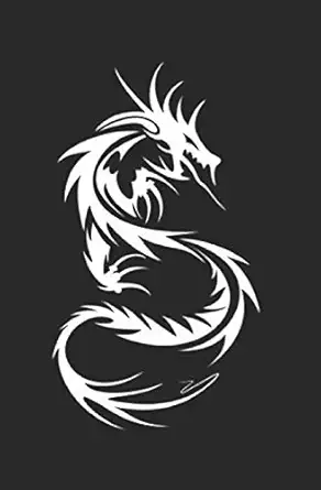 hacker republic dark side of cyberworld 1st edition fabio ghioni 1520732503, 978-1520732503