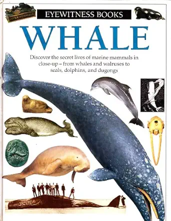 whale 1st edition vasilli papastavrou 0679838848, 978-0679838845
