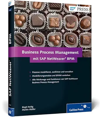 business process management mit sap netweaver bpm gescha ftsprozesse mit sap modellieren 1st edition birgit