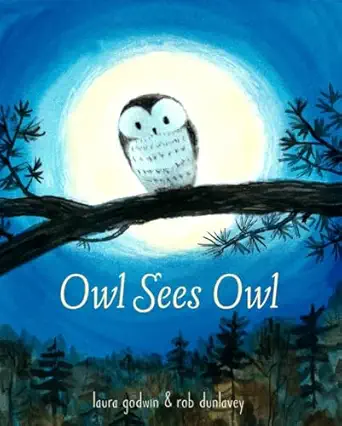 owl sees owl 1st edition laura godwin ,rob dunlavey 0553497820, 978-0553497823