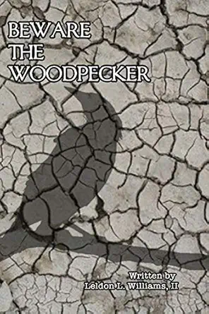 beware the woodpecker 1st edition leldon l williams ii ,julia tomlinson ,leann williams 1793195706,