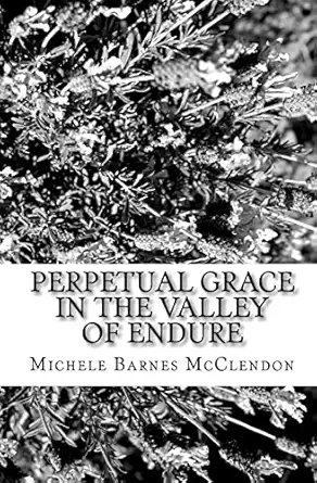 perpetual grace in the valley of endure a poetic interlude 1st edition michele barnes mcclendon 1449581102,