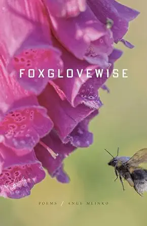 foxglovewise poems 1st edition ange mlinko 0374613176, 978-0374613174