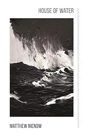 house of water 1st edition matthew nienow 1938584643, 978-1938584640