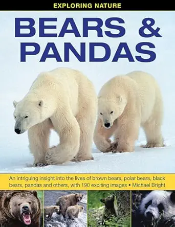 exploring nature bears and pandas an intriguing insight into the lives of brown bears polar bears black bears