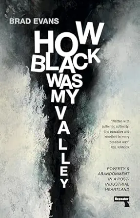 how black was my valley poverty and abandonment in post industrial wales 1st edition brad evans 1913462846,
