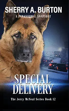 special delivery book 12 in the jerry mcneal series 1st edition sherry a burton 195138637x, 978-1951386375