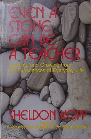 even a stone can be a teacher learning and growing from the experiences of everyday life 1st edition sheldon