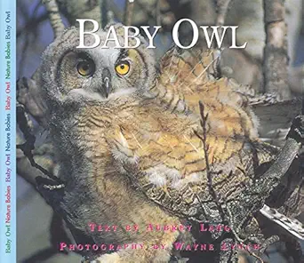 baby owl 1st edition aubrey lang ,wayne lynch 1550417967, 978-1550417968