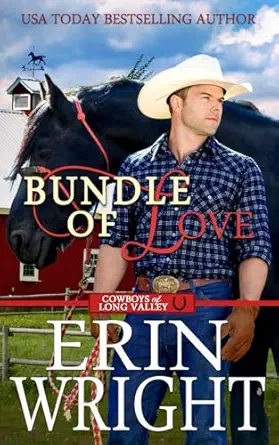 Bundle Of Love An Office Contemporary Western Romance