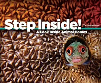 step inside a look inside animal homes 1st edition catherine ham 0983201420, 978-0983201427