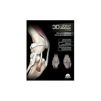 3d joint anatomy in dogs main joint pathologies and surgical approaches 1st edition francisco miguel sa nchez