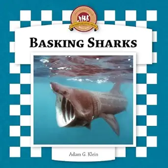 basking sharks 1st edition adam g klein 159679285x, 978-1596792852
