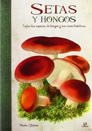 setas y hongos todas las especies de hongos y sus caractera sticas 1st edition mara a aldave ,equipo
