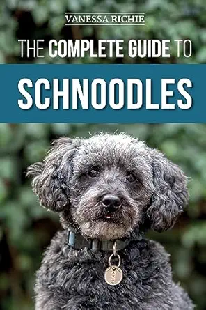 the complete guide to schnoodles selecting training feeding exercising socializing and loving your new