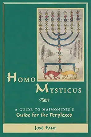Homo Mysticus A Guide To Maimonidess Guide For The Perplexed