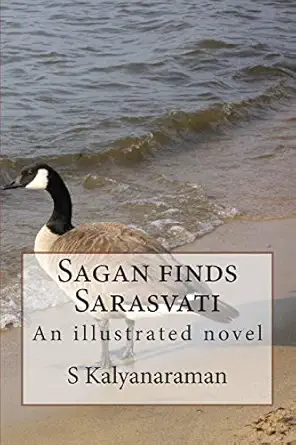sagan finds sarasvati an illustrated novel 1st edition s kalyanaraman 0982897170, 978-0982897171