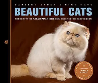 beautiful cats portraits of champion breeds preened to perfection 1st edition darlene arden ,nick mays