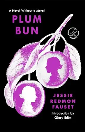 Plum Bun A Novel Without A Moral