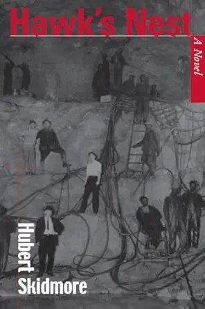 hawks nest a novel 1st edition hubert skidmore 1572332808, 978-1572332805