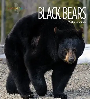 black bears 1st edition melissa gish 1628325615, 978-1628325614