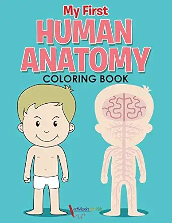 my first human anatomy coloring book 1st edition activibooks for kids 1683218108, 978-1683218104