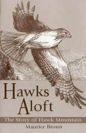 hawks aloft 1st edition maurice broun 0811727904, 978-0811727907