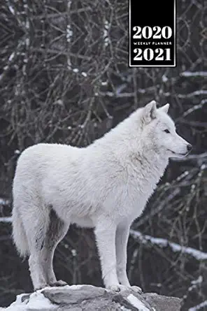 wolf wolves week planner weekly organizer calendar 2020 / 2021 white snow cute wildlife animal pet bullet