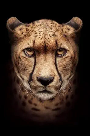 cheetah notebook blank lined journal softcover with 120 pages 1st edition cheetah power 1792032048,