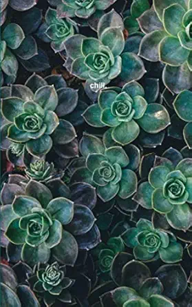 chill simple notebook 1st edition m o\\\\\\\'reilly 1727013808, 978-1727013801