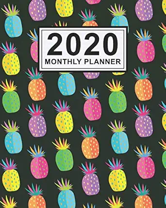 2020 monthly planner pineapple daily weekly monthly calendar 2020 planner january 2020 to december 2020 1st