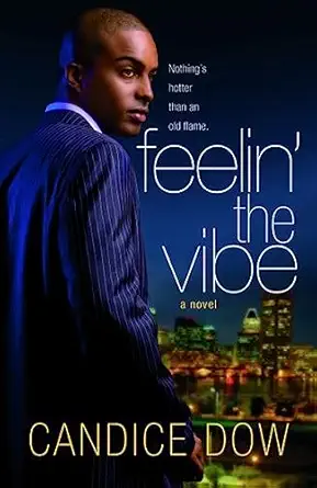 feelin the vibe 1st edition candice dow 0446179523, 978-0446179522