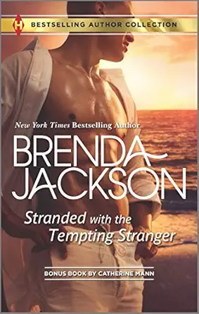 stranded with the tempting stranger the executives surprise baby 1st edition brenda jackson ,catherine mann