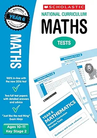 national curriculum tests maths yr 6 1st edition paul hollin 1407159852, 978-1407159850
