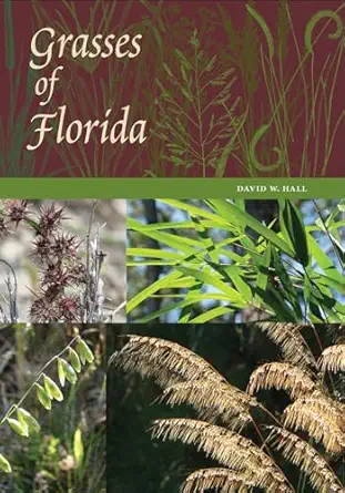 grasses of florida 1st edition david w hall 0813056055, 978-0813056050