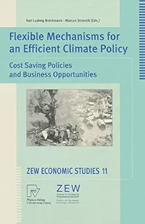 flexible mechanisms for an efficient climate policy cost saving policies and business opportunities 1st