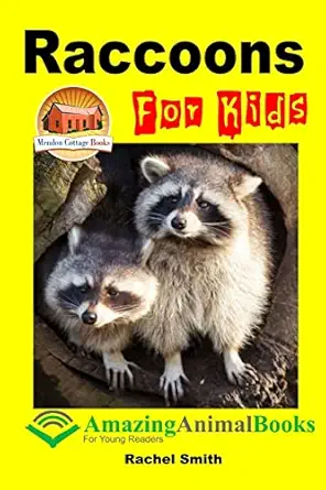 raccoons for kids 1st edition rachel smith ,john davidson ,mendon cottage books 1516856082, 978-1516856084