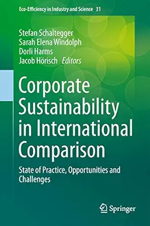 corporate sustainability in international comparison state of practice opportunities and challenges 1st