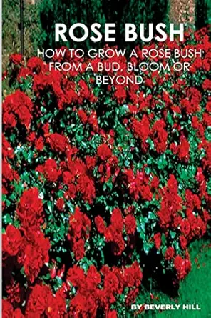 rose bush learn how to grow a rose bush from a bud bloom or beyond 1st edition beverly hill 1523292830,