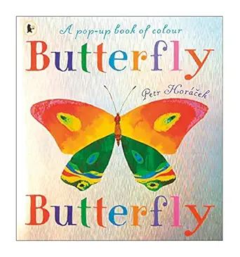 butterfly butterfly 1st edition petr horcek petr horacek 1406340065, 978-1406340068