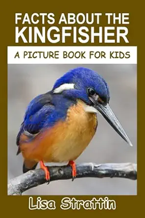 facts about the kingfisher 1st edition lisa strattin 1697627552, 978-1697627558