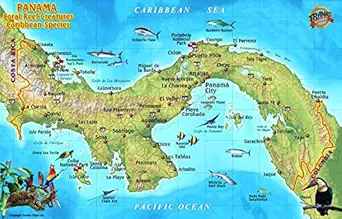 panama caribbean coral reef creatures guide franko maps laminated fish card 1st edition franko maps ltd