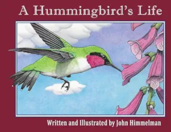 a hummingbirds life 1st edition john himmelman 1956381155, 978-1956381153