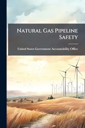 natural gas pipeline safety risk based standards should allow operators to better tailor reassessments to