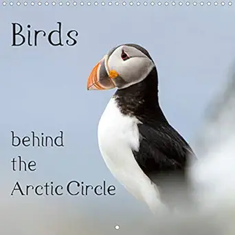 birds behind the arctic circle 2020 wonderful wildlife photos from the north far behind the arctic circle 1st