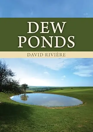 dew ponds 1st edition david rivia re 1398124613, 978-1398124615